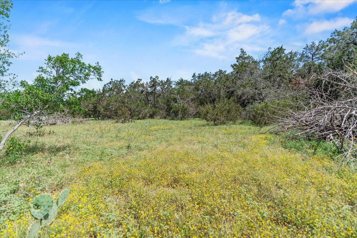 1001 Bluff View Road Wimberley, TX 78676 - Photo 7 of 15 a view of a field with an trees in the background