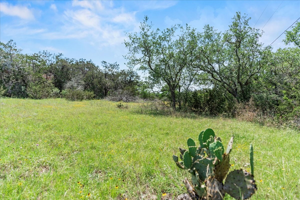 1001 Bluff View Road Wimberley, TX 78676 - Photo 8 of 15 a backyard of a house with lots of green space