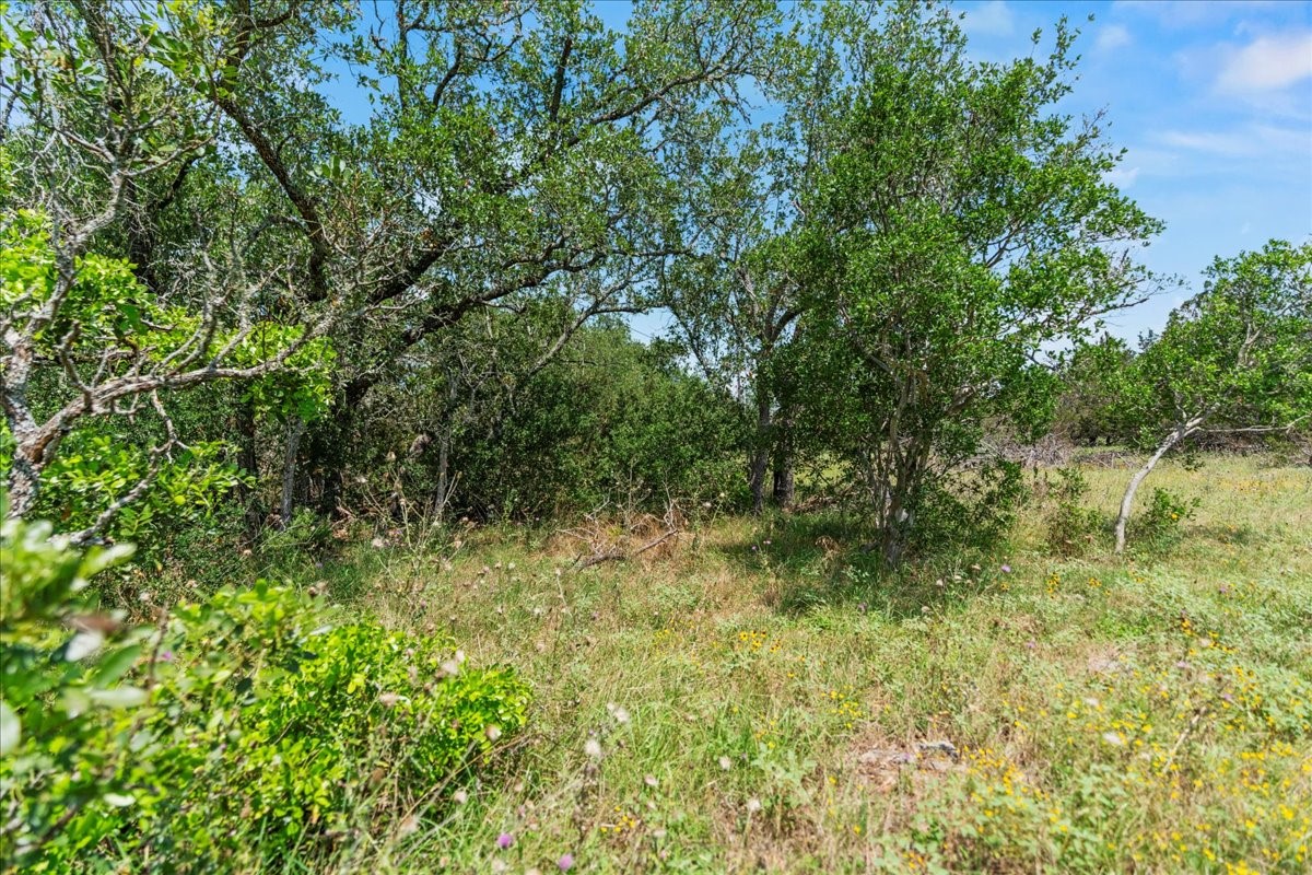 1001 Bluff View Road Wimberley, TX 78676 - Photo 9 of 15 a view of a lush green space