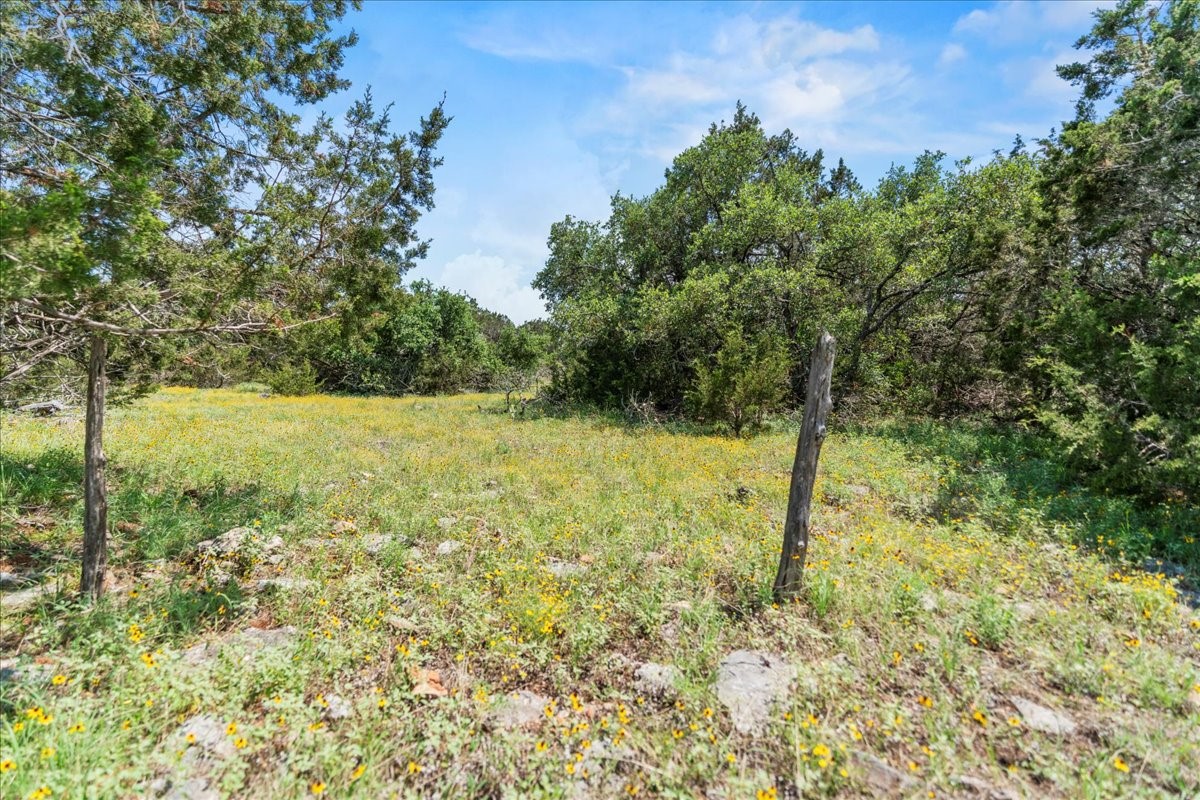 1001 Bluff View Road Wimberley, TX 78676 - Photo 10 of 15 a view of a yard with a tree