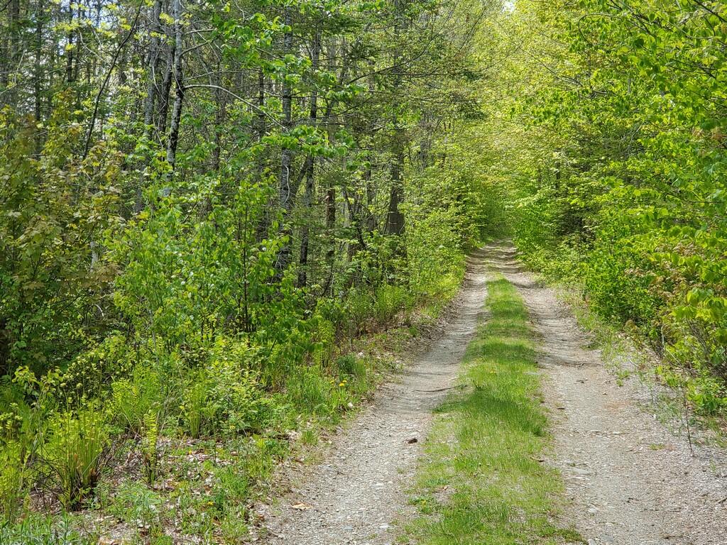 79 Perkins Road Winterport, ME 04496 - Photo 3 of 10 20210517_133046 (Copy)