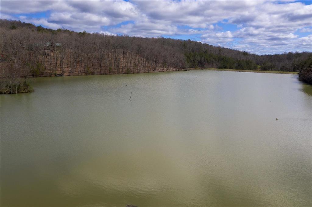 762 Brier Branch Road Graysville, TN 37338 - Photo 66 of 72 66