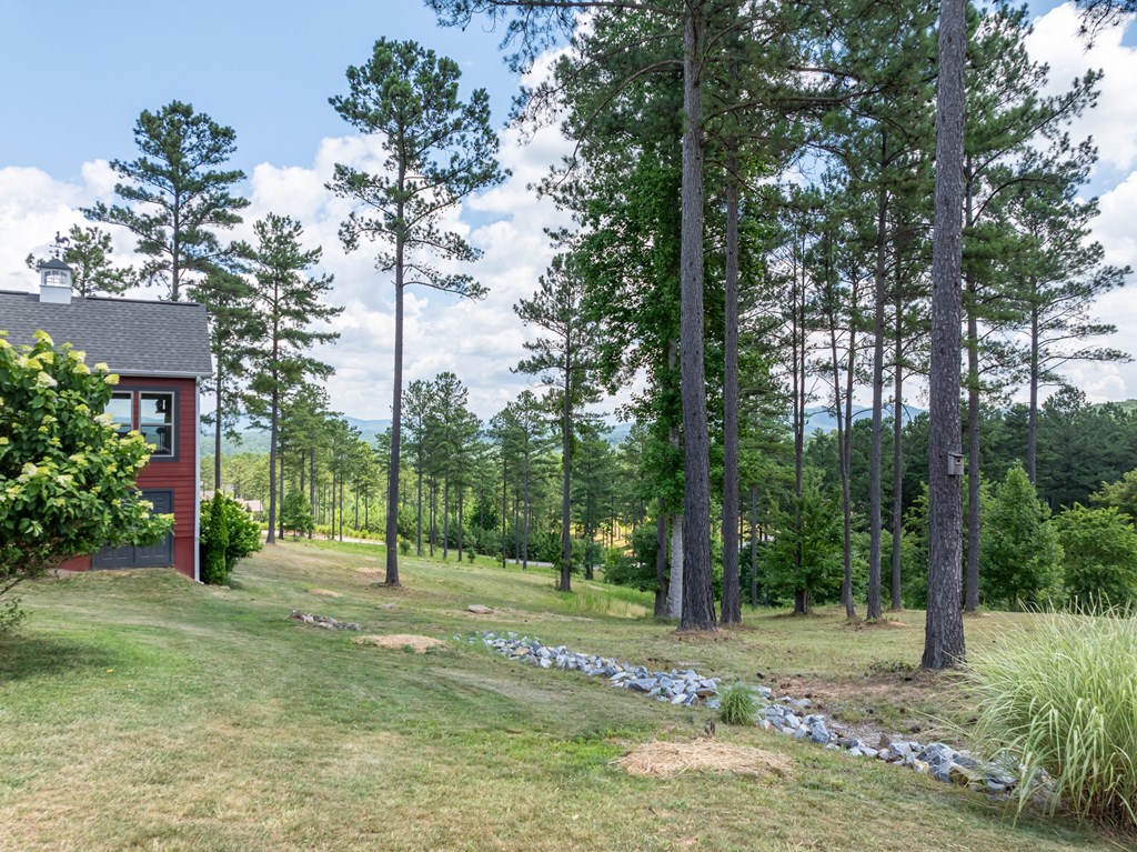 1008 Ridge Pointe Way Blairsville, GA 30512 - Photo 21 of 75 Gallery Image 21