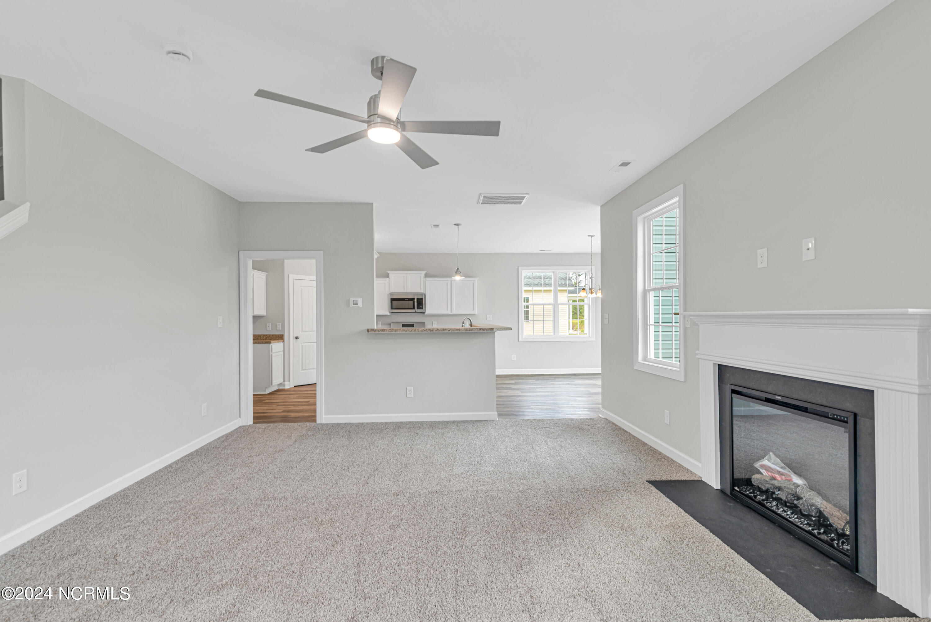 207 Browns Ferry Road Jacksonville, NC 28546 - Photo 9 of 42 DSC_0055
