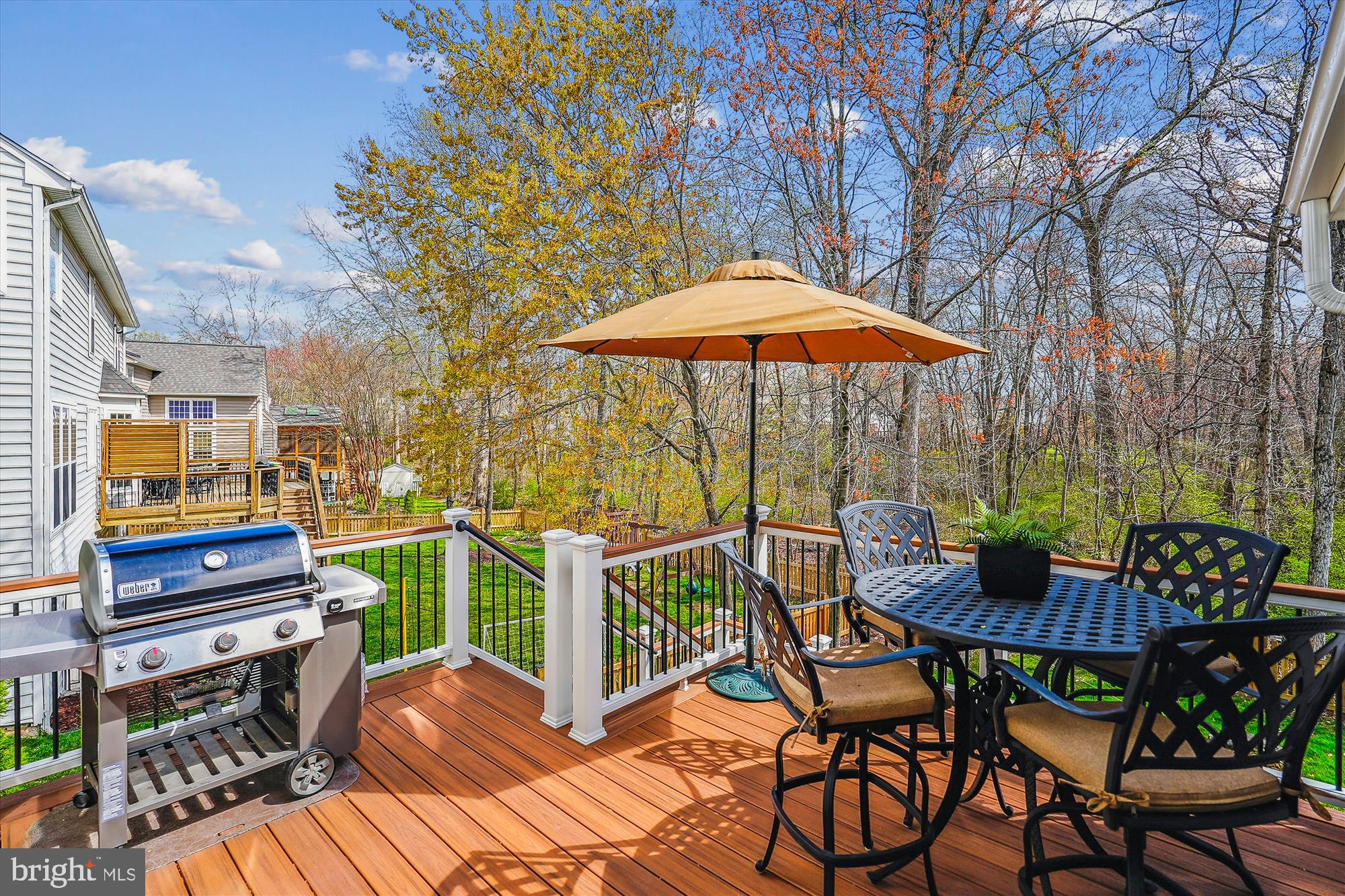 42925 Ellzey Drive Broadlands, VA 20148 - Photo 38 of 96 Deck