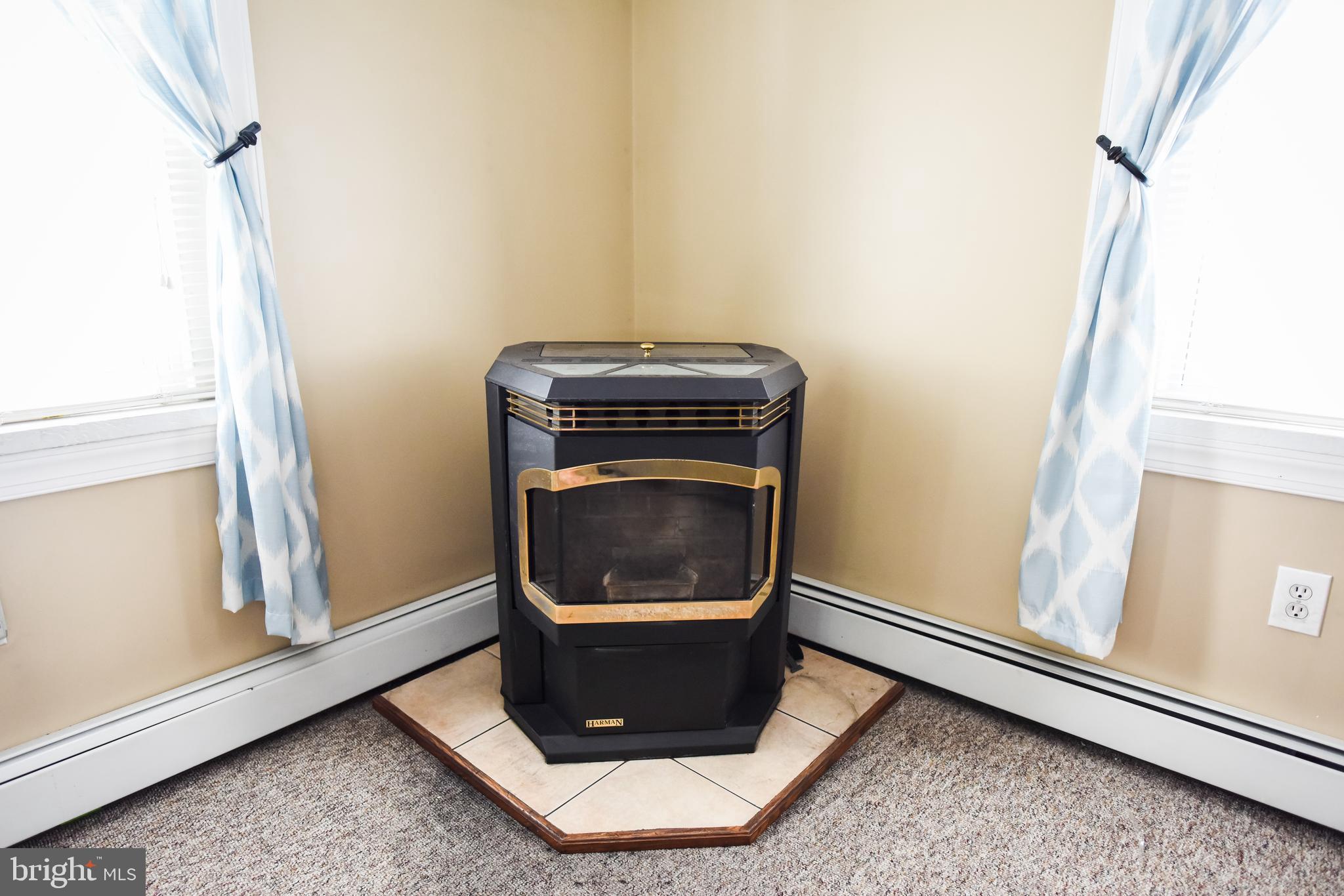 641 Schubert Road Bethel, PA 19507 - Photo 14 of 68 Pellet stove
