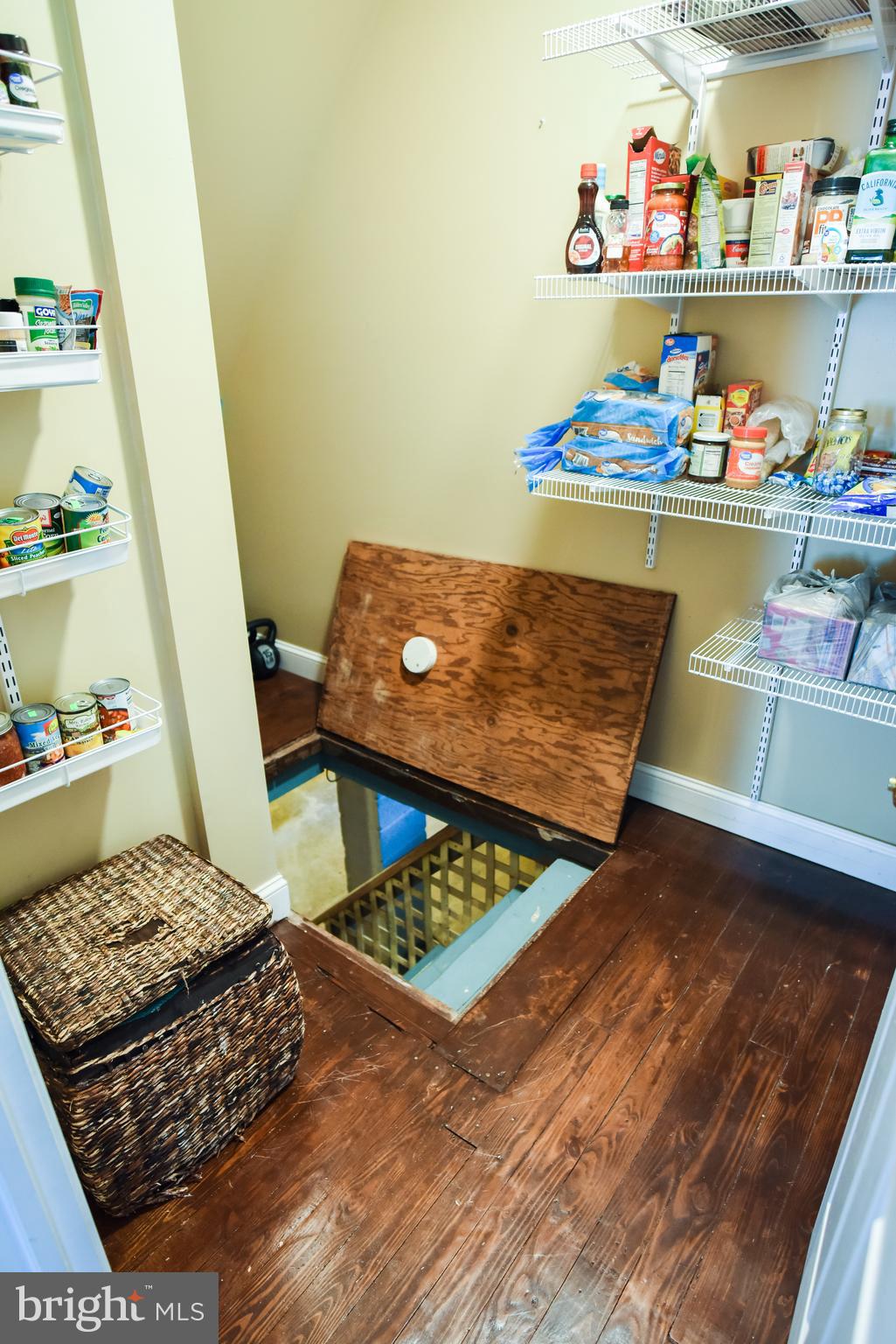 641 Schubert Road Bethel, PA 19507 - Photo 25 of 68 Pantry & basement door