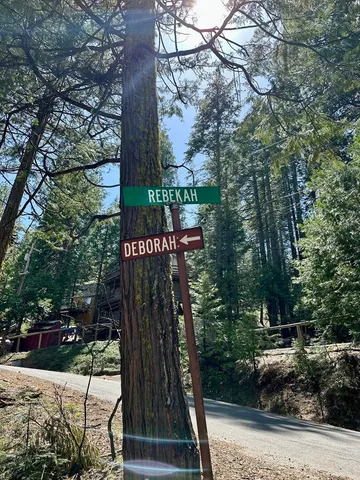 a view of a yard with a tree
