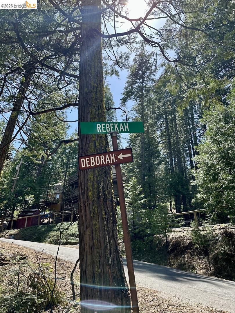 25352 Rebekah Road Long Barn, CA 95335 - Photo 12 of 17 a view of a street sign under a large tree