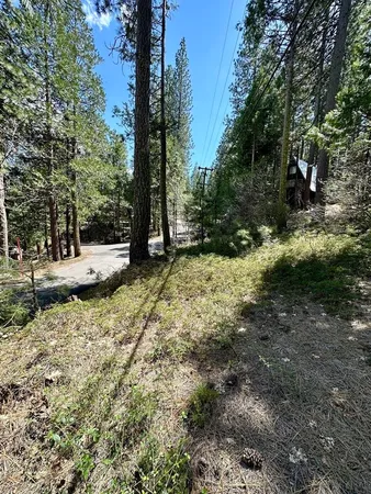 a view of outdoor space and yard