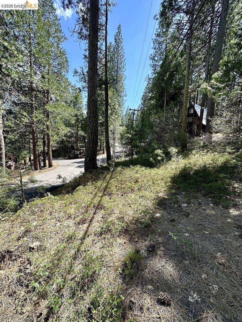 25352 Rebekah Road Long Barn, CA 95335 - Photo 15 of 17 a view of a tree with a yard
