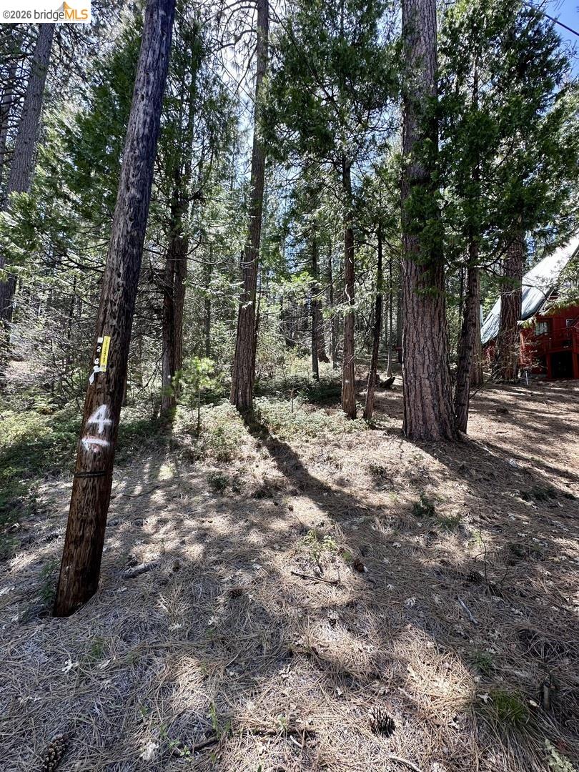 25352 Rebekah Road Long Barn, CA 95335 - Photo 16 of 17 a view of outdoor space and yard