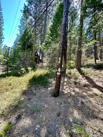 $24,500 | 25352 Rebekah Road, Long Barn, CA 95335