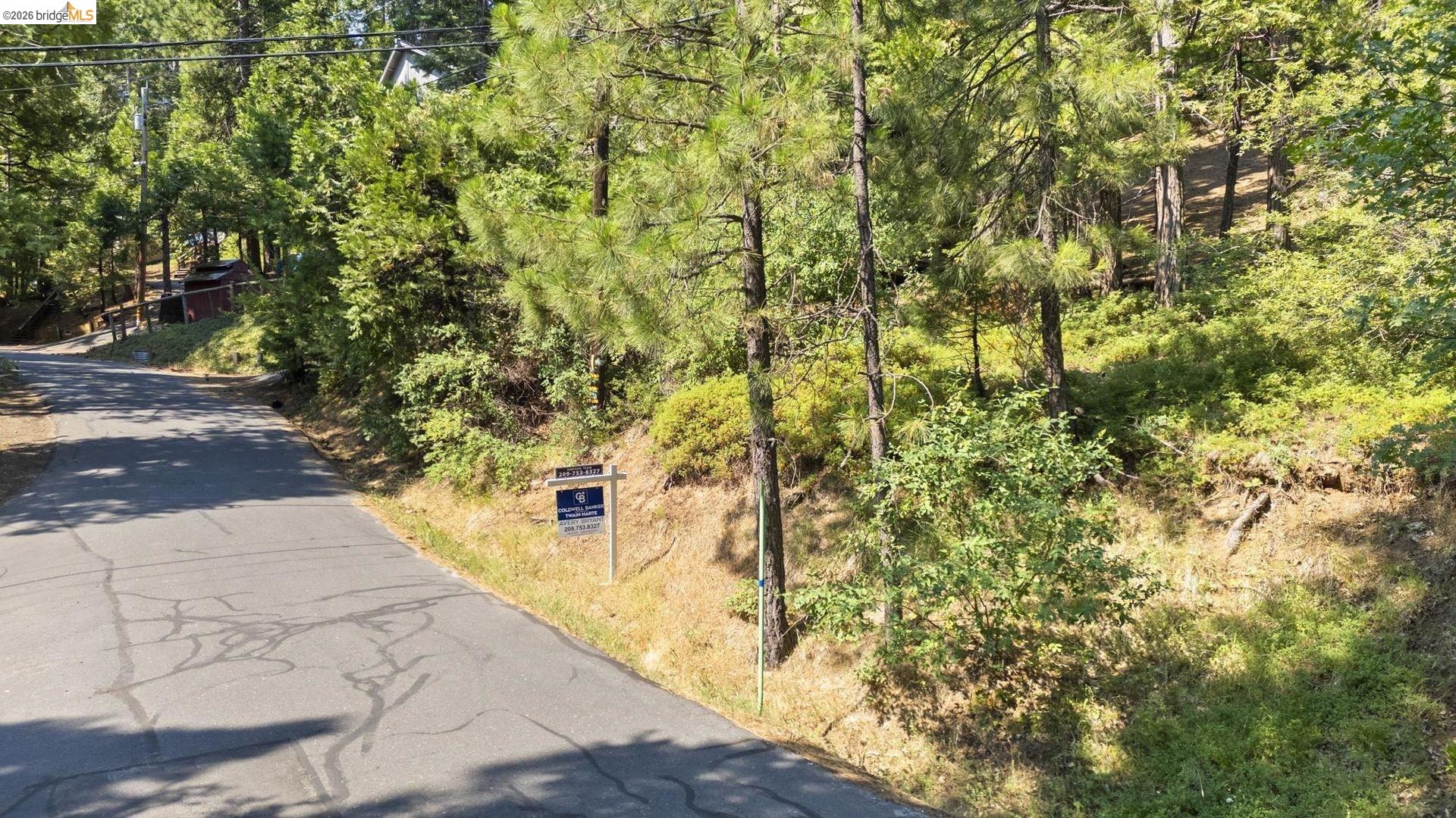 25352 Rebekah Road Long Barn, CA 95335 - Photo 2 of 17 a view of yard with large trees