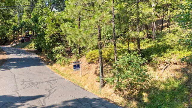 a view of yard with large trees