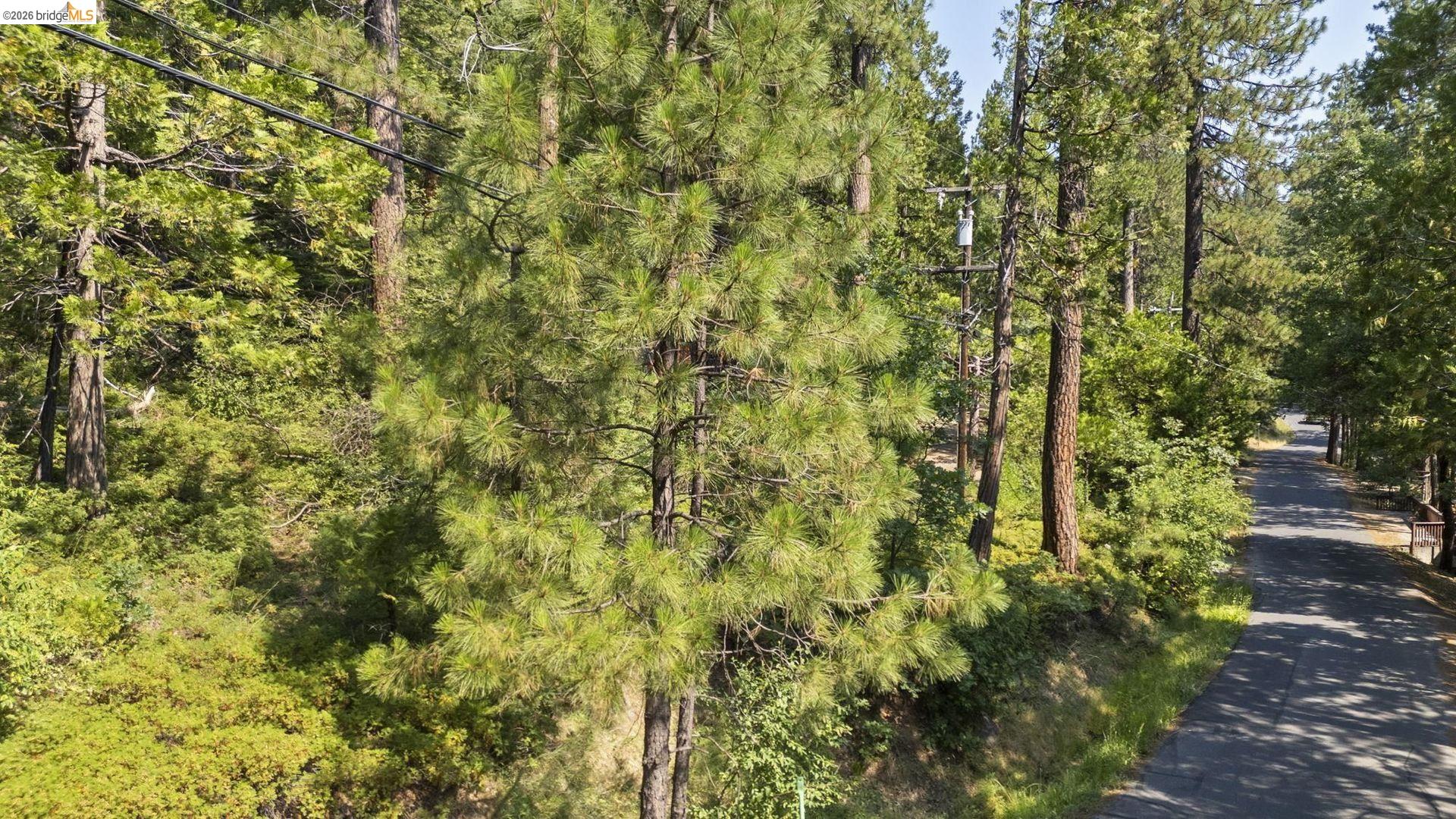 25352 Rebekah Road Long Barn, CA 95335 - Photo 3 of 17 a view of a yard with plants and trees
