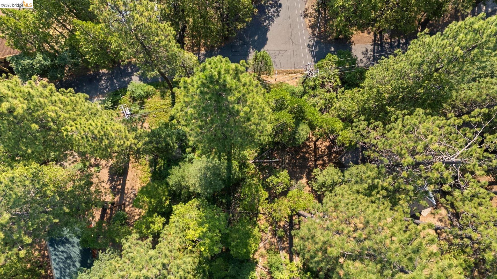 25352 Rebekah Road Long Barn, CA 95335 - Photo 6 of 17 a view of a garden