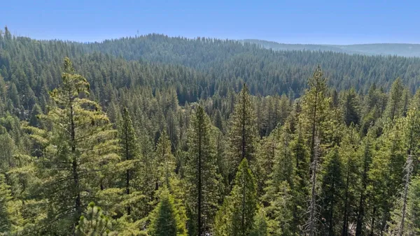 a view of mountain and trees
