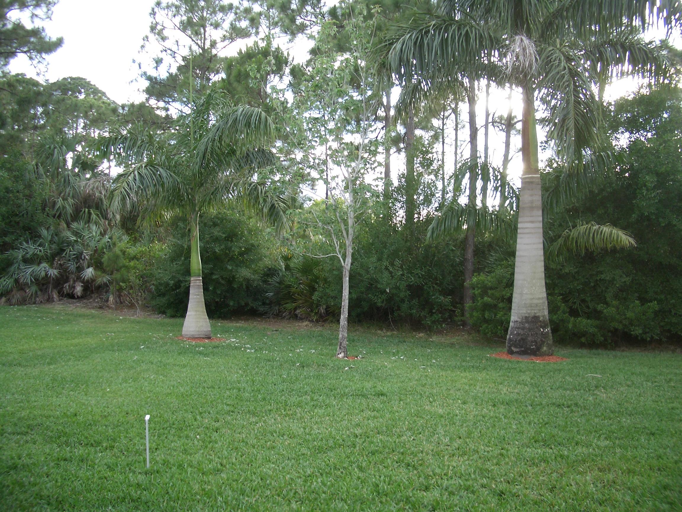 5545 Spanish River Road Fort Pierce, FL 34951 - Photo 18 of 18 CIMG2311
