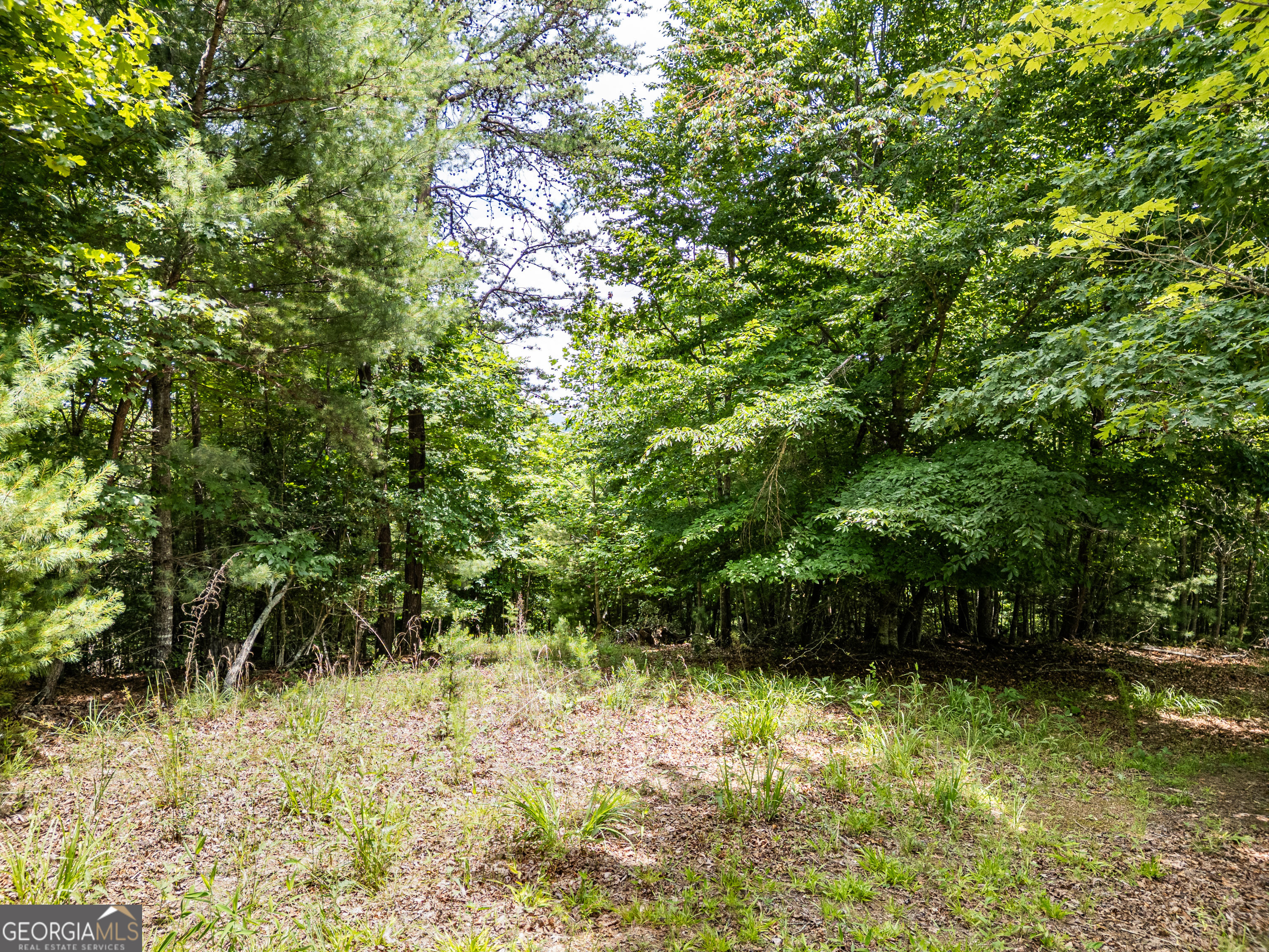 2 Stormy Ridge Brasstown, NC 28902 - Photo 6 of 16