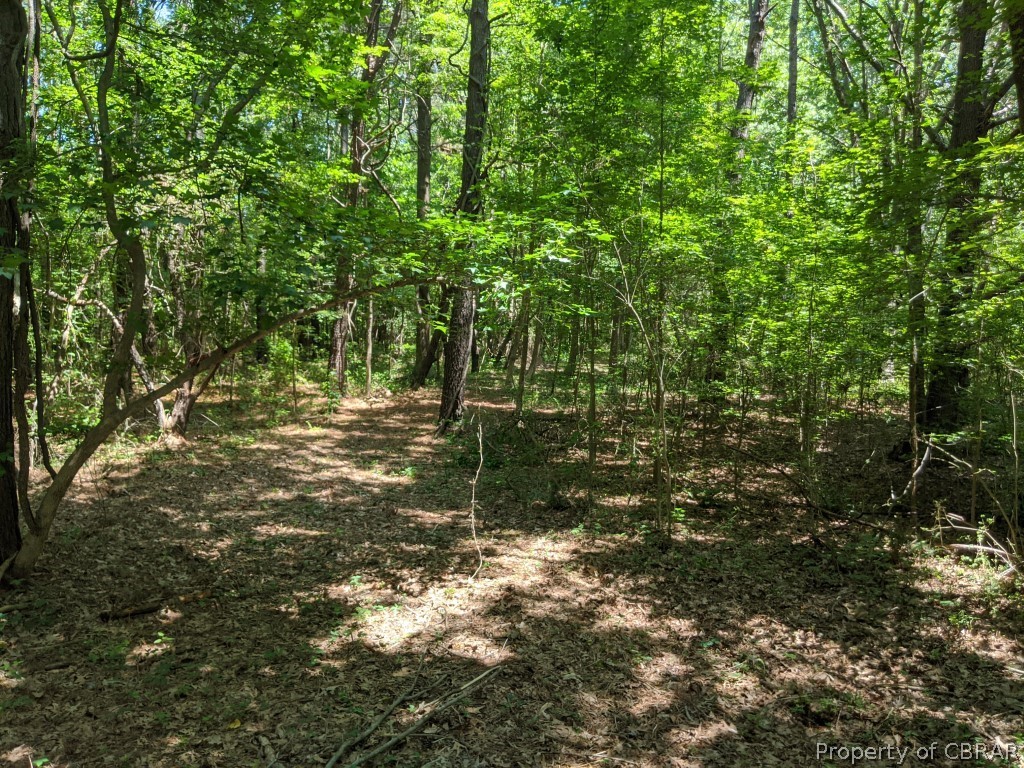0 North River Road Gloucester, VA 23061 - Photo 10 of 15