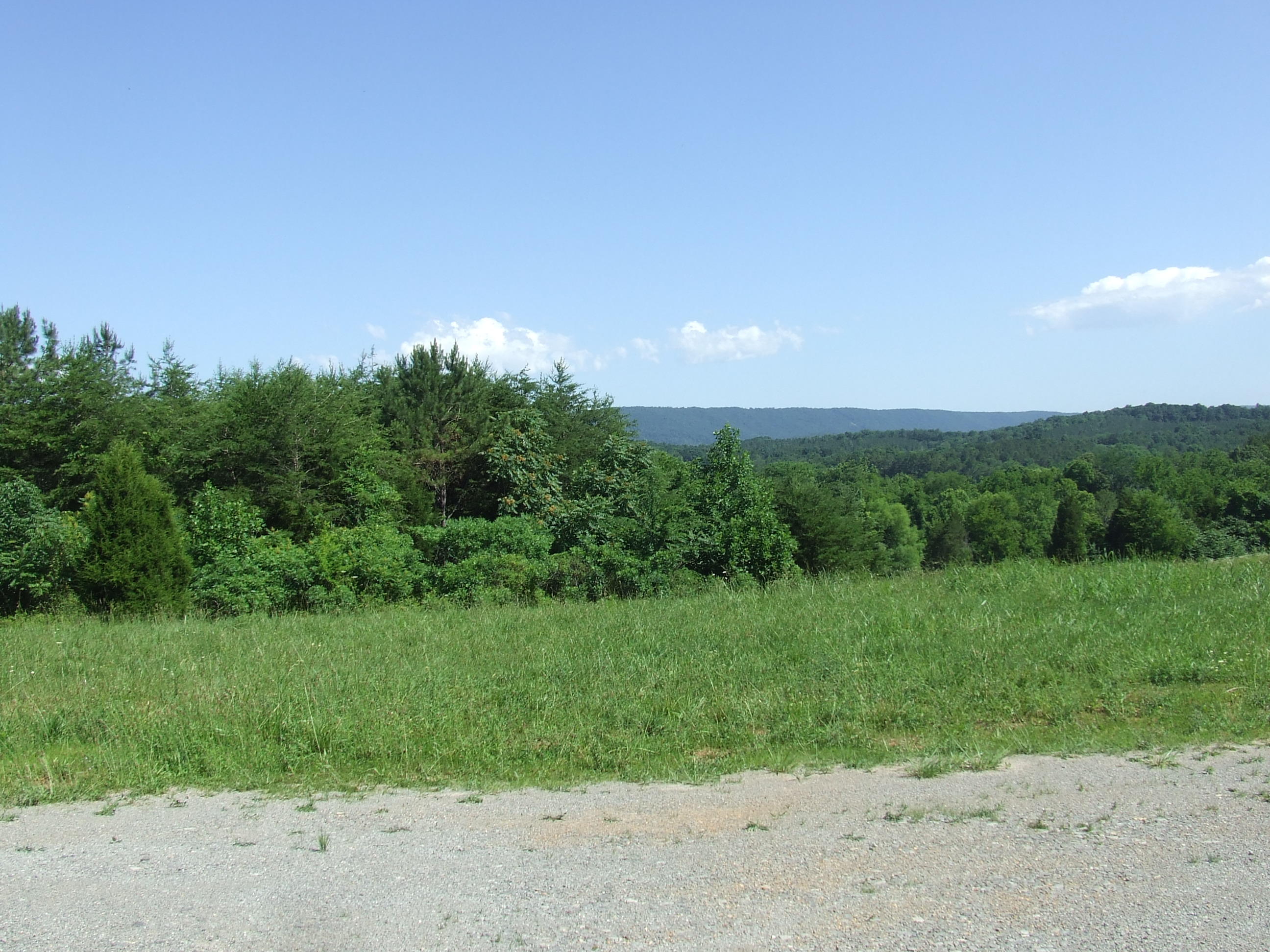 2404 Wolf Creek Road Spring City, TN 37381 - Photo 15 of 27 DSCF6806
