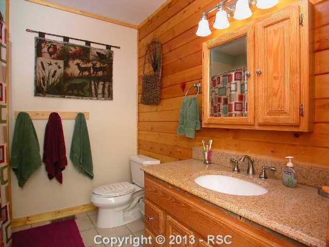 654 Ranger Station Road Florissant, CO 80816 - Photo 10 of 14 Main house