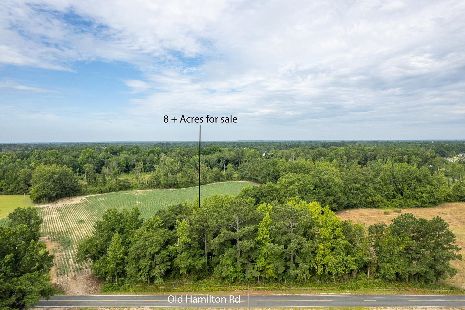 174 Old Hamilton Road Dunn, NC 28334 - Photo 5 of 7 a view of a yard with an trees