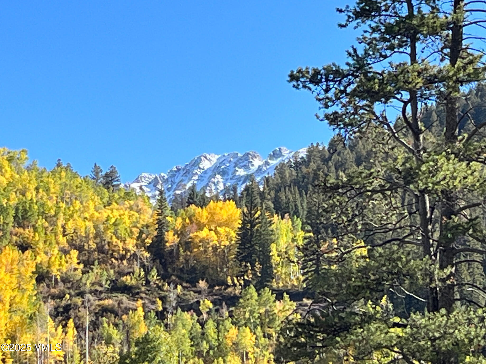 3827 Lupine Drive, Unit B Vail, CO 81657 - Photo 5 of 50 3827 Lupine fall pic