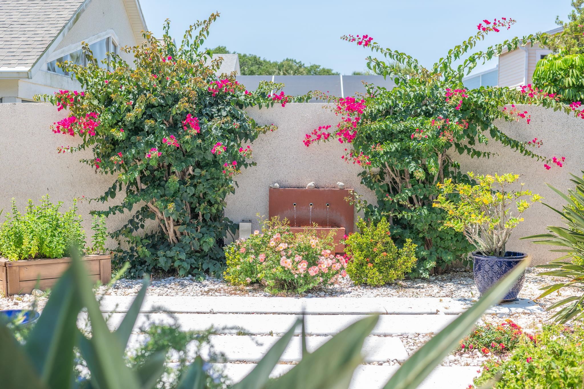 322 Monika Place St. Augustine, FL 32080 - Photo 39 of 55 a view of a flower arrangement in a garden