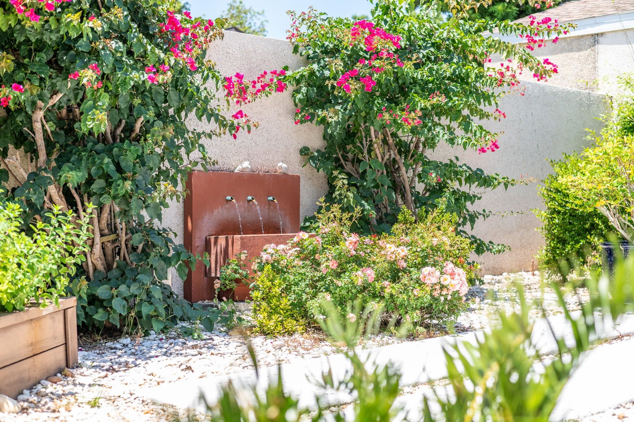 322 Monika Place St. Augustine, FL 32080 - Photo 44 of 55 a view of a flower in a garden