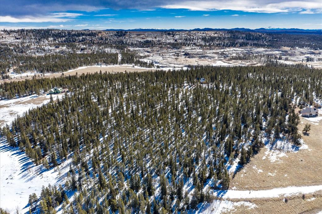 0 Cottage Grove Road Alma, CO 80420 - Photo 29 of 35 Gallery Image 29