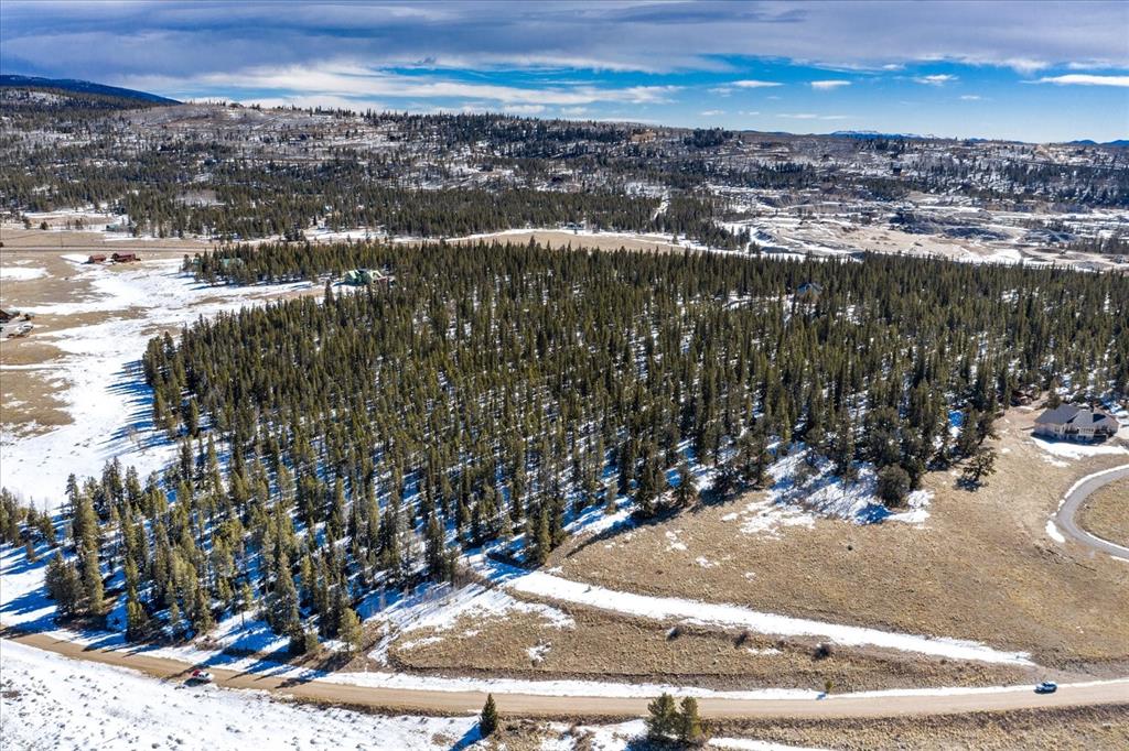 0 Cottage Grove Road Alma, CO 80420 - Photo 8 of 35 Gallery Image 8
