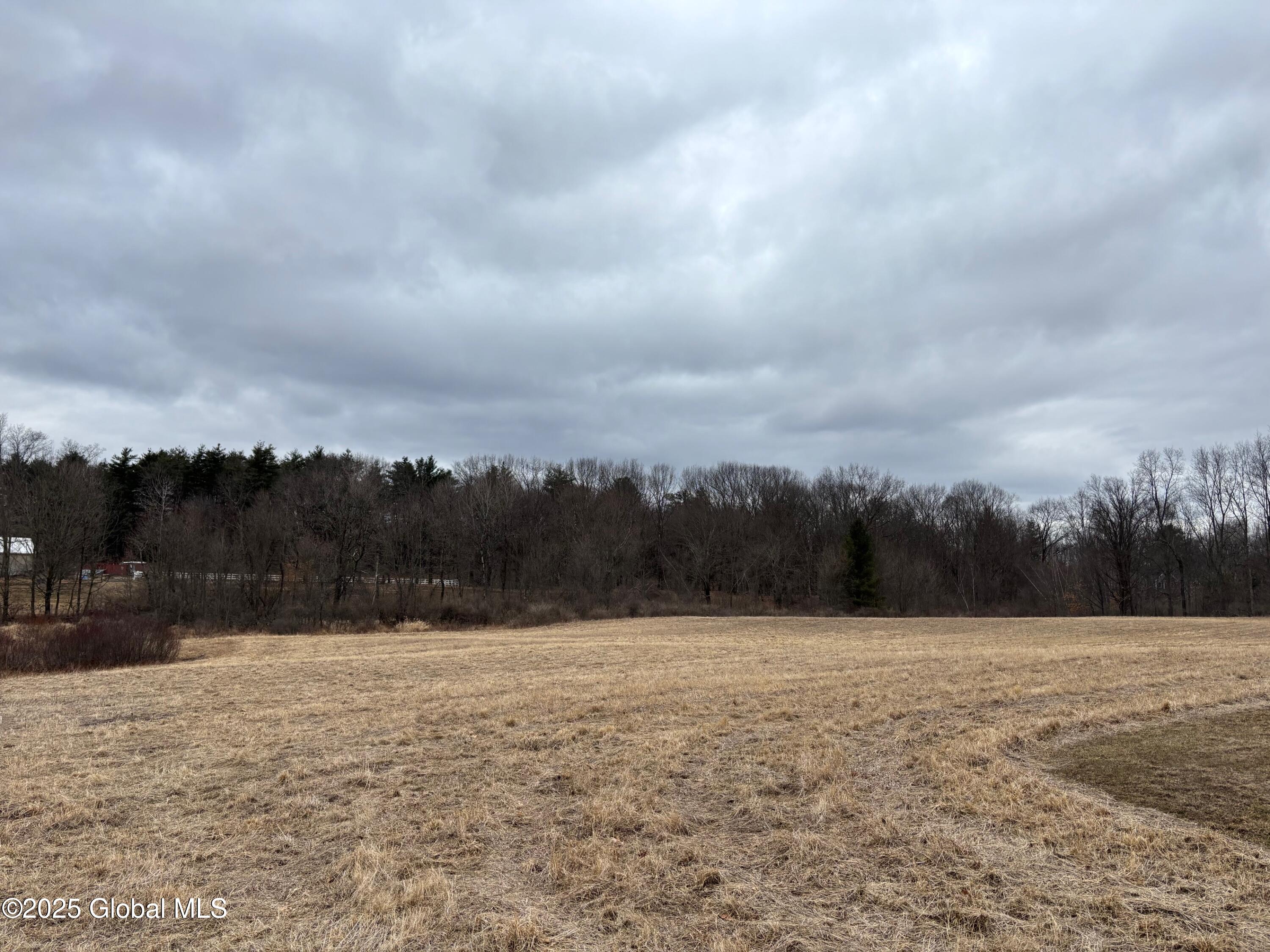 235 Mammoth Spring Road North Greenbush, NY 12144 - Photo 1 of 5 IMG_0313