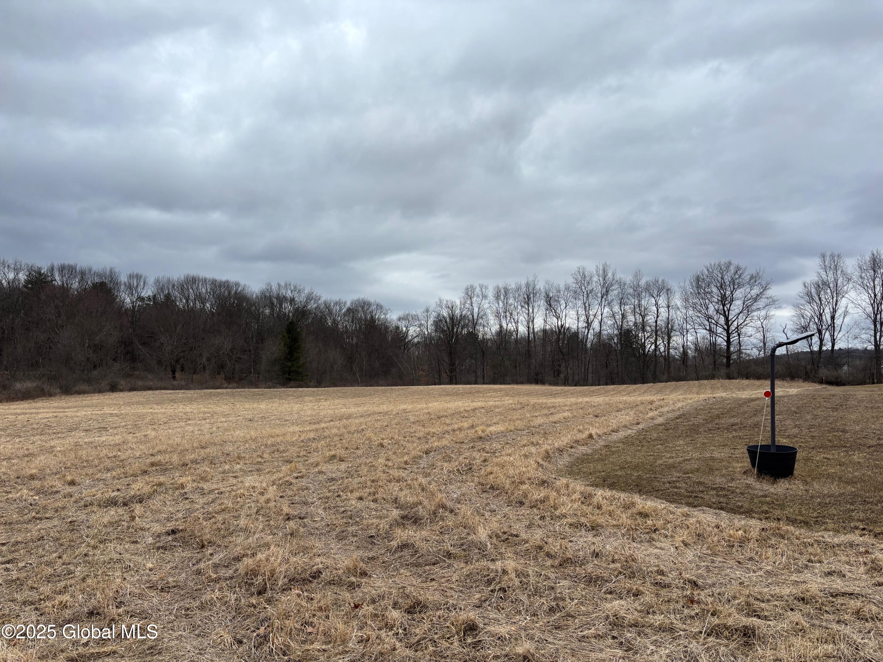 235 Mammoth Spring Road North Greenbush, NY 12144 - Photo 3 of 5 IMG_0311