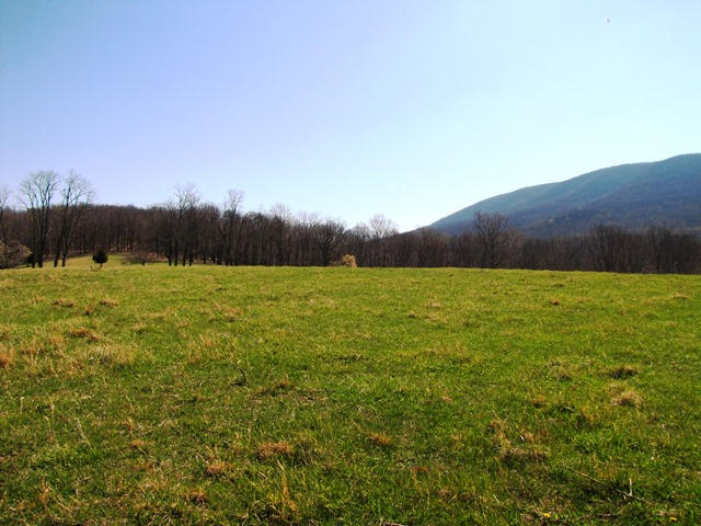 2091 Pete Amos Road Lindside, WV 24951 - Photo 49 of 54 Gallery Image 49