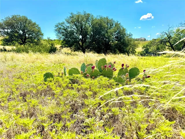 a view of a pathway with a yard