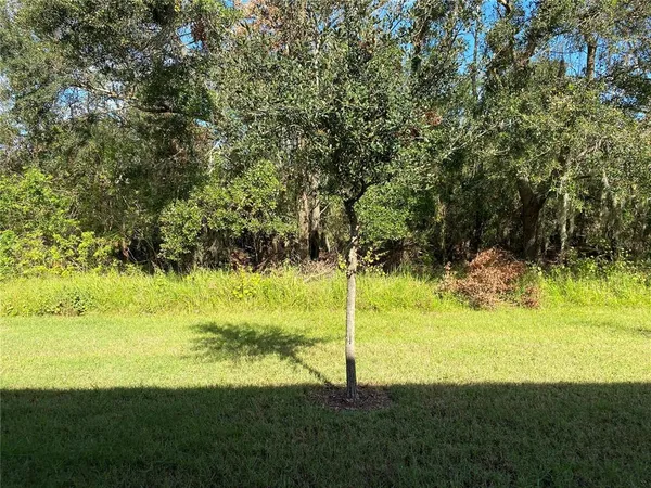 $1,950 | 9516 Pembrooke Pines Drive, Ruskin, FL 33573