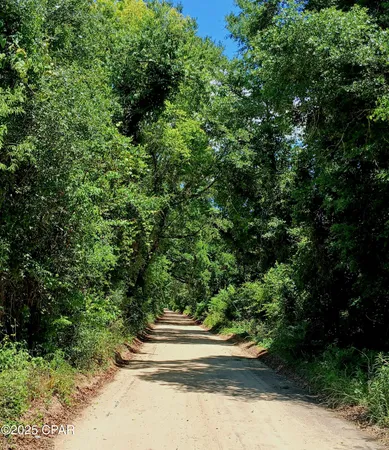 $129,000 | Tbd Wolf Pond Road, Bascom, FL 32423