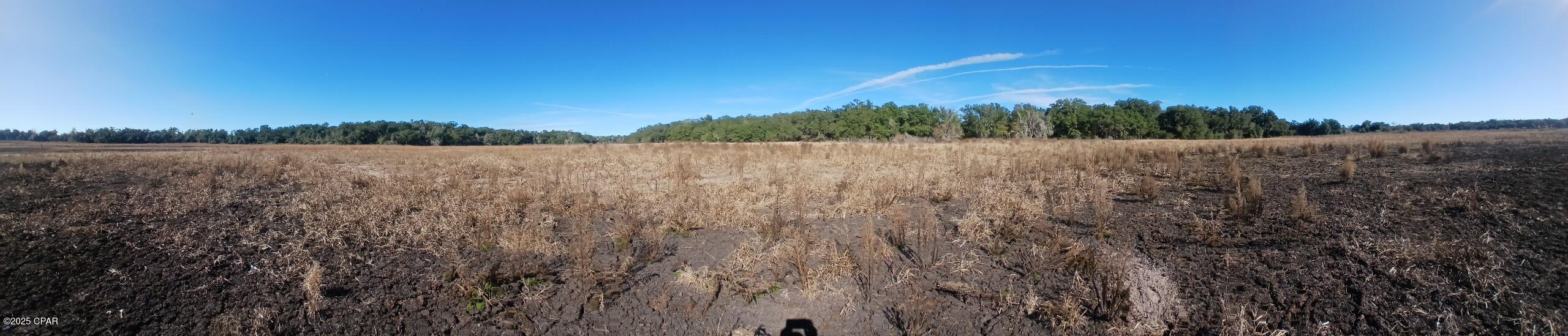 Tbd Wolf Pond Road Bascom, FL 32423 - Photo 3 of 5