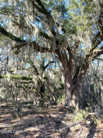 $129,000 | Tbd Wolf Pond Road, Bascom, FL 32423