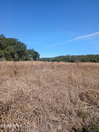 $129,000 | Tbd Wolf Pond Road, Bascom, FL 32423