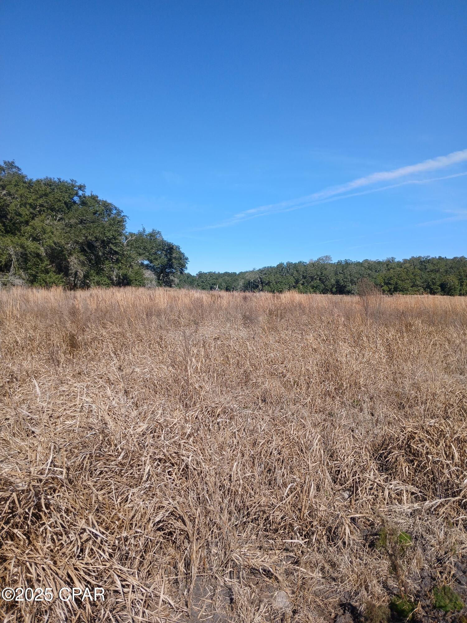 Tbd Wolf Pond Road Bascom, FL 32423 - Photo 5 of 5