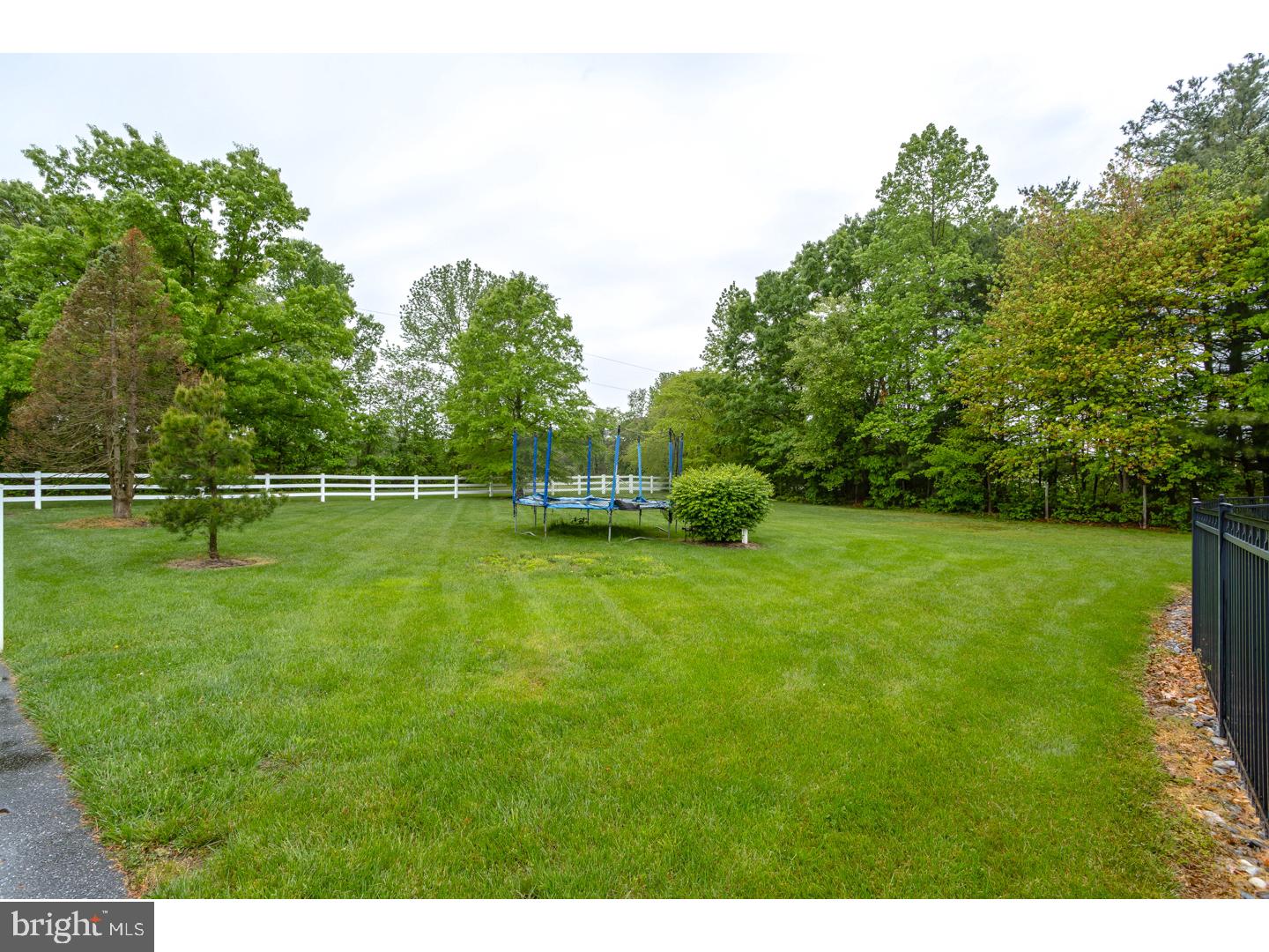 351 Perkintown Road Pedricktown, NJ 08067 - Photo 24 of 25 Back Yard