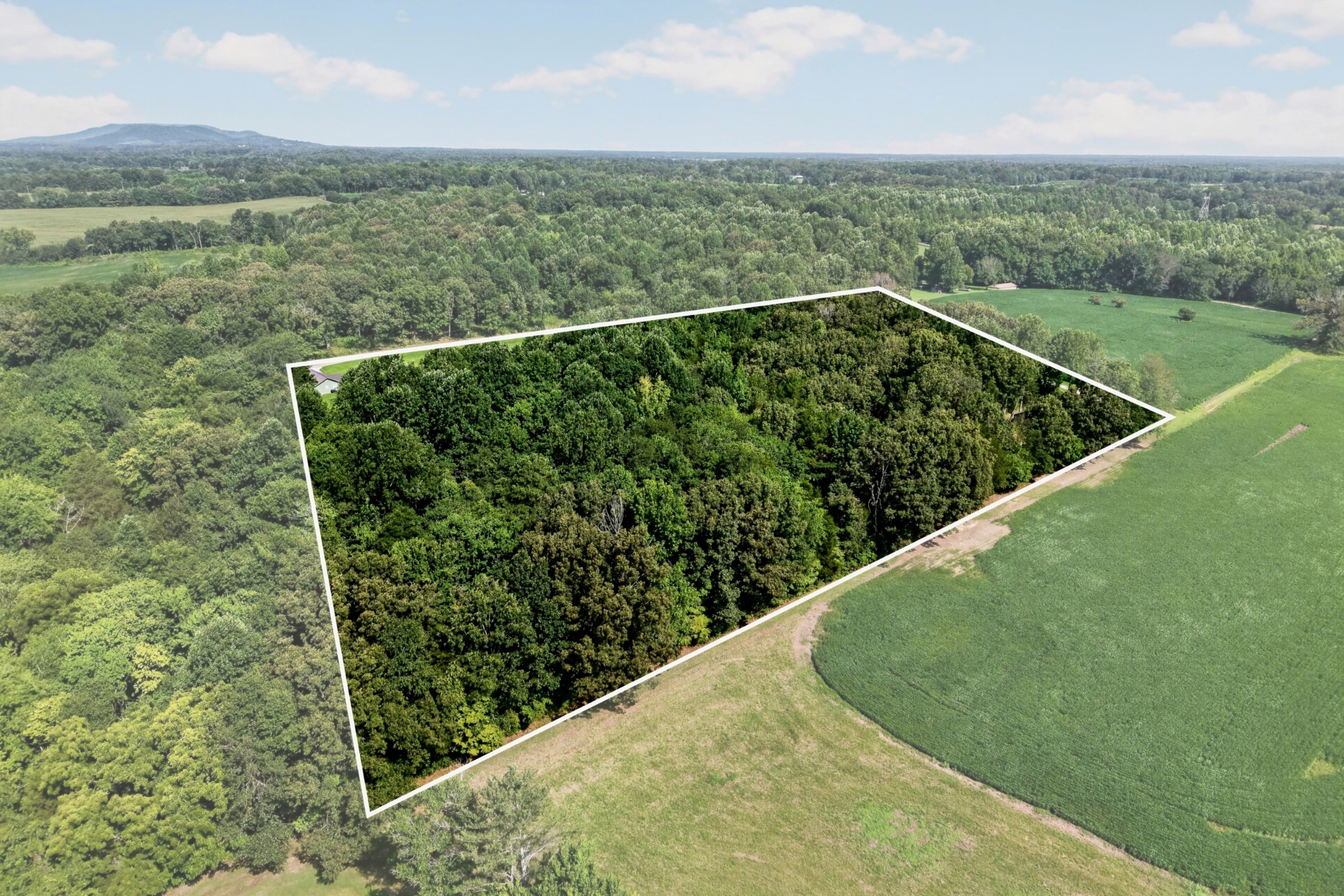 259 Jim Warren Road McMinnville, TN 37110 - Photo 6 of 68