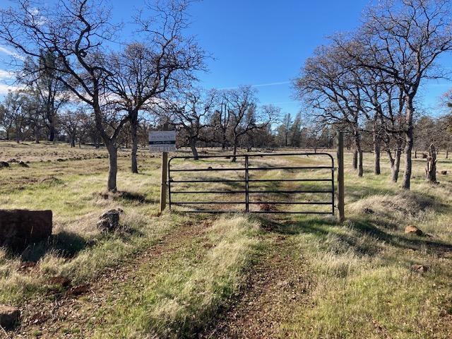 Campo Dios Road Shingletown, CA 96088 - Photo 3 of 7 Gate entrance