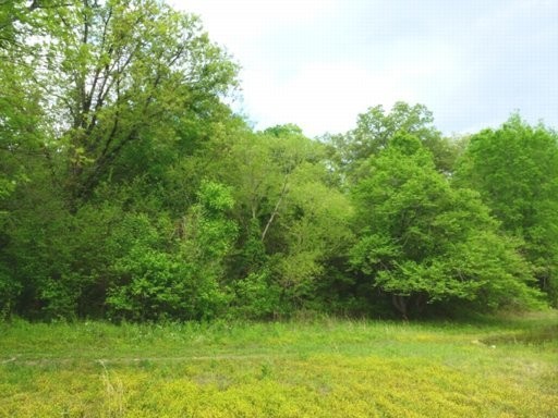 123 Ernie Roberts Road Rutledge, TN 37861 - Photo 24 of 32 Gallery Image 24