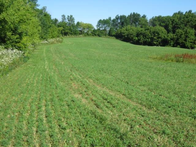 Lot 1 County Rd F Newton, WI 53063 - Photo 1 of 1 IMG_6568