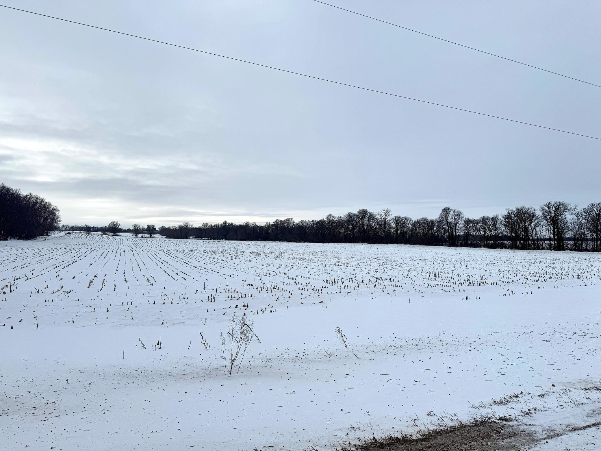 75 Co Highway 75 Hewitt, MN 56453 - Photo 13 of 22