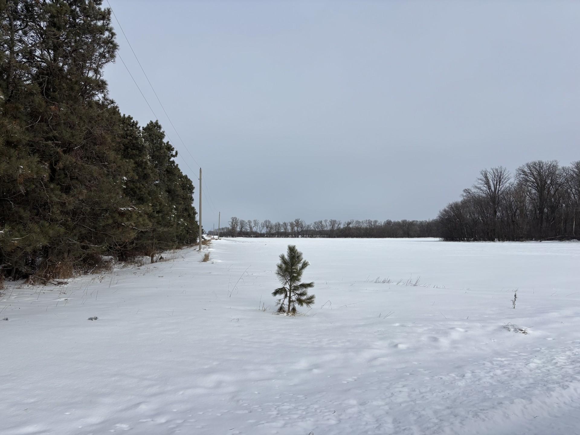 75 Co Highway 75 Hewitt, MN 56453 - Photo 3 of 22